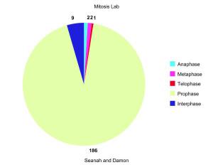 Mitosis Pie Chart
